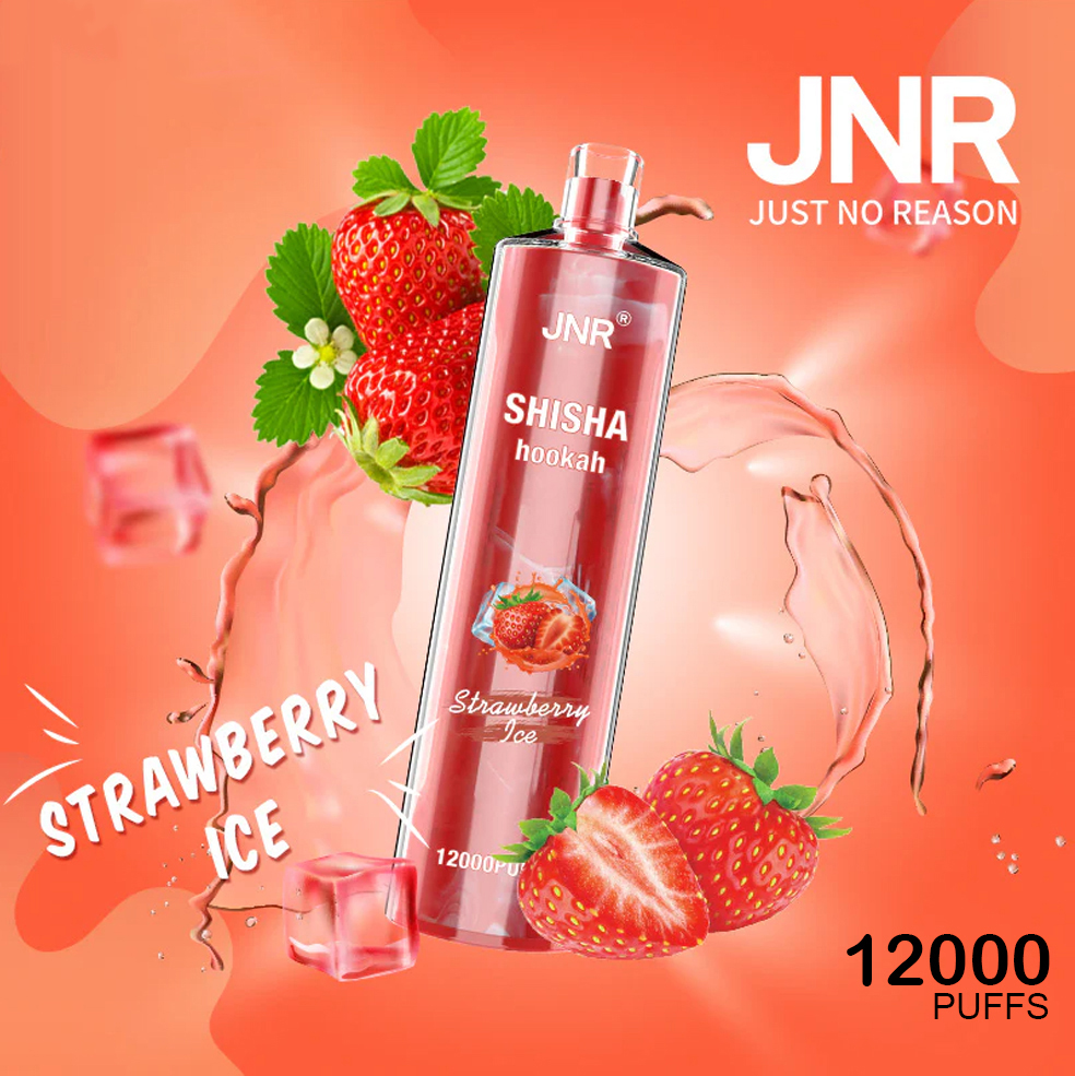 jnr shisha hookah watermelon ice – 12000 puffs