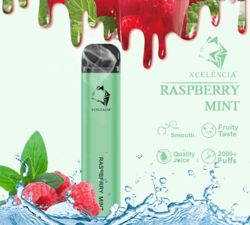 GUNNPOD RASPBERRY MINT – 2000 PUFFS gunnpod raspberry mint – 2000 puffs